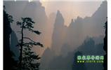 張家界國家森林公園、寶峰湖/黃龍洞、鳳凰古城、三峽八日游